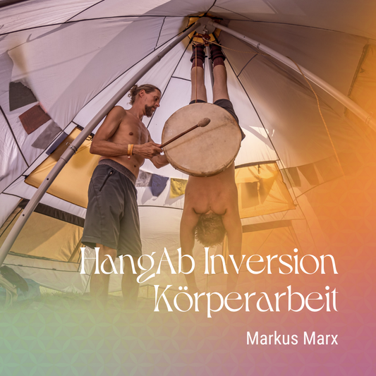 HangAb Inversion