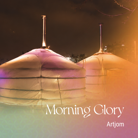 Morning Glory