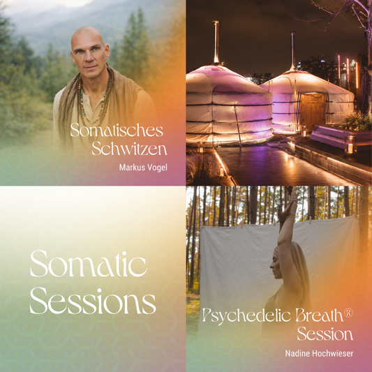 Somatic Session